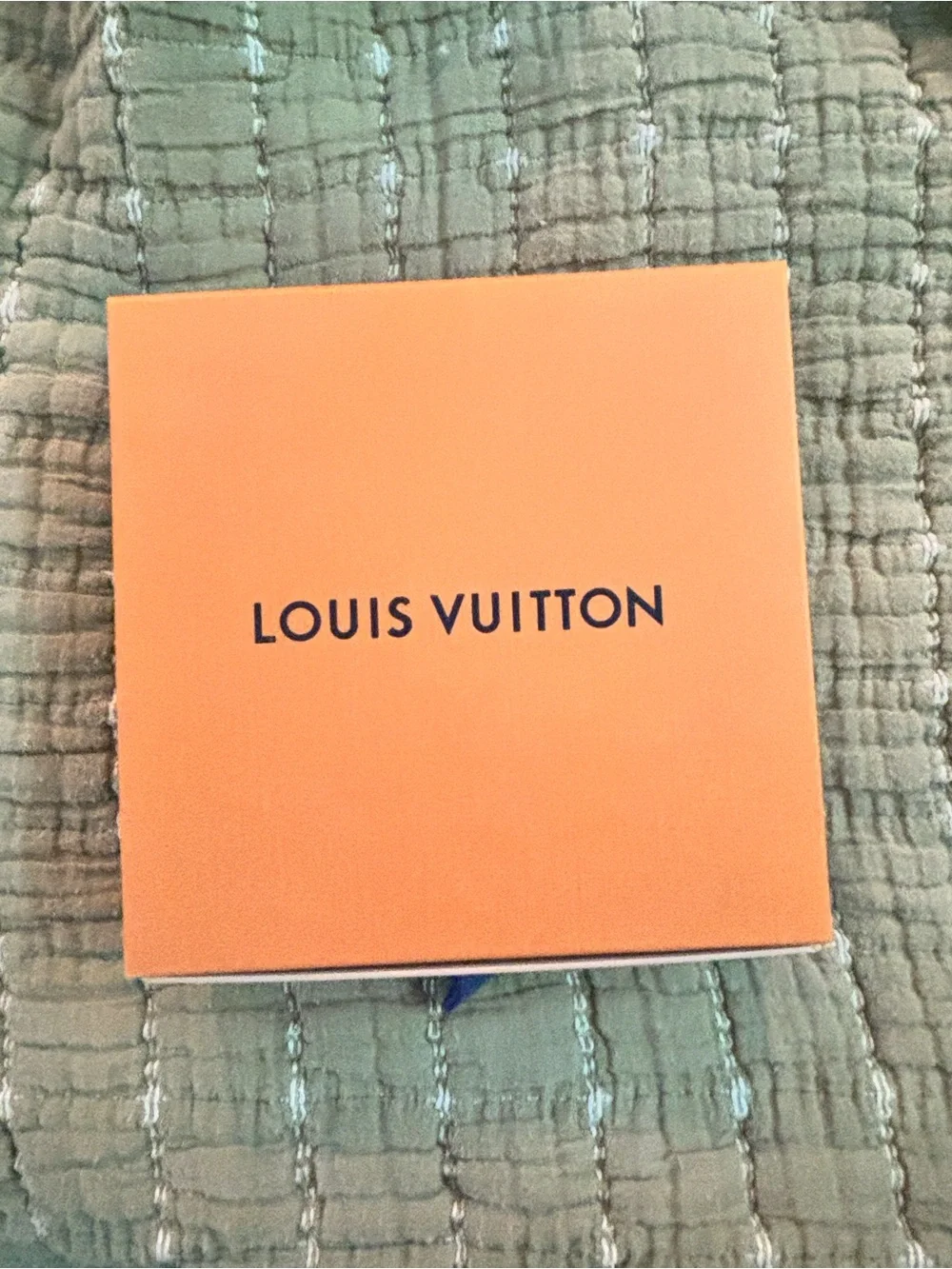 Louis Vuitton Damier Graphite Black Card Pocket iPhone Cover